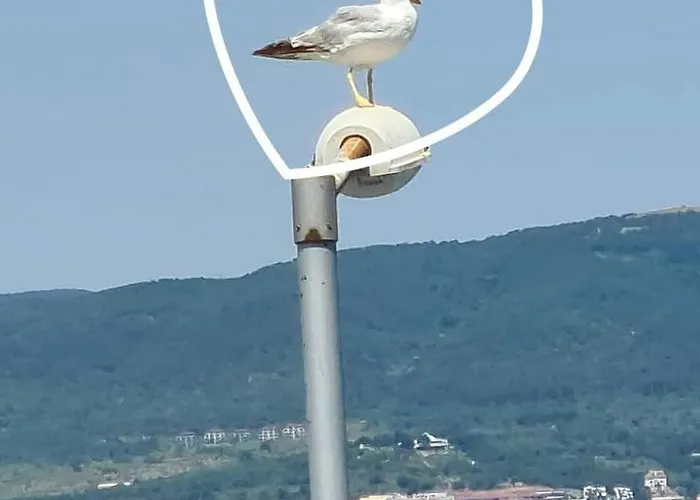 Sea View Private Paradiso B 508 Nesebar